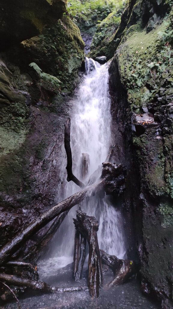 cascada Levada Madeira