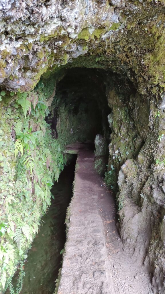 Túnel Levada Madeira