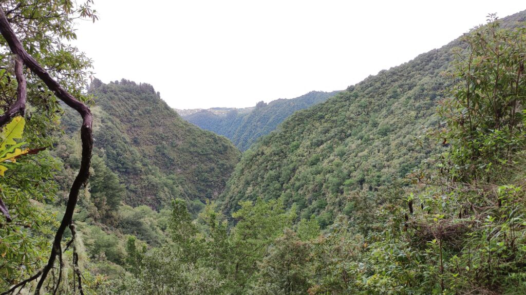 Vistas Levada de Madeira