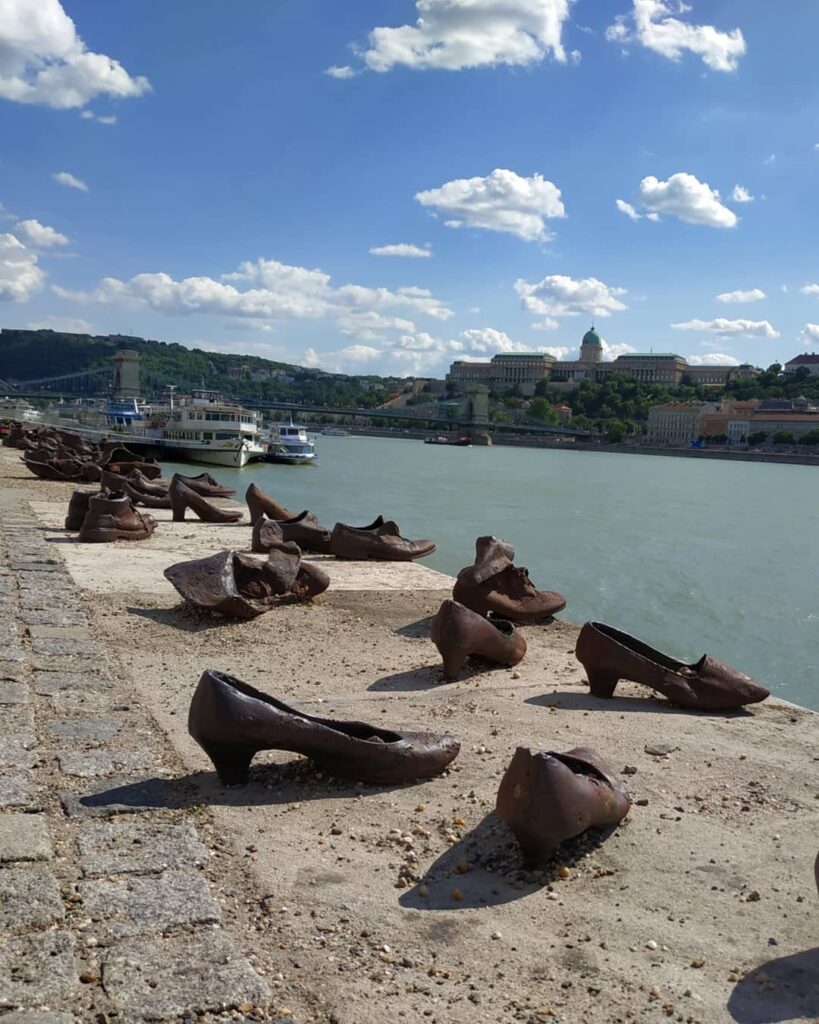 Zapatos Danubio