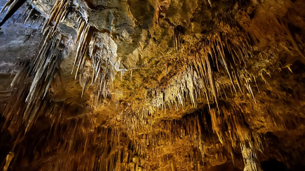 Estalactitas Cueva de Mendukilo