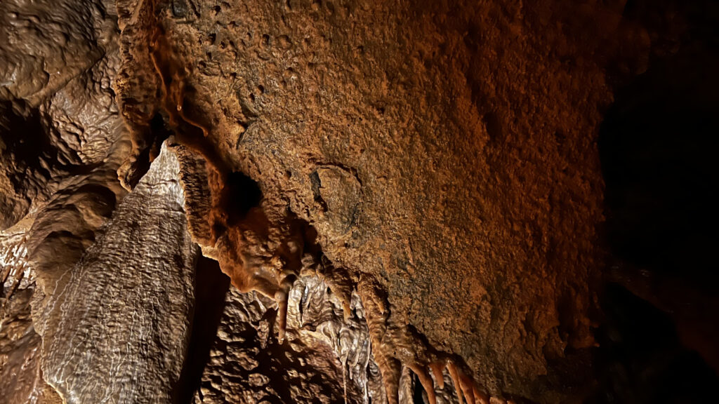 Fósil en la Cueva de Mendukilo
