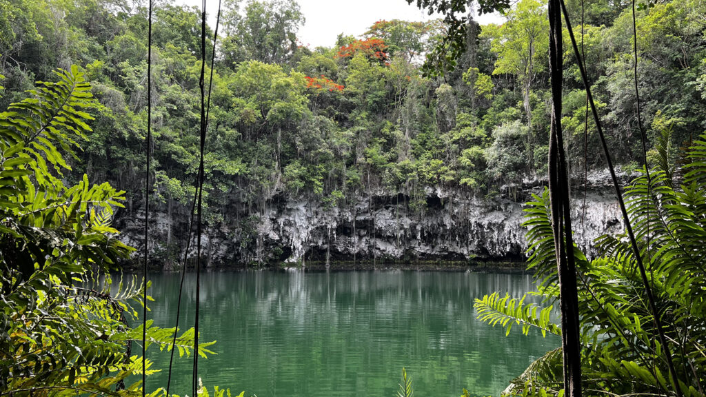 Cenote los Zaramagullones