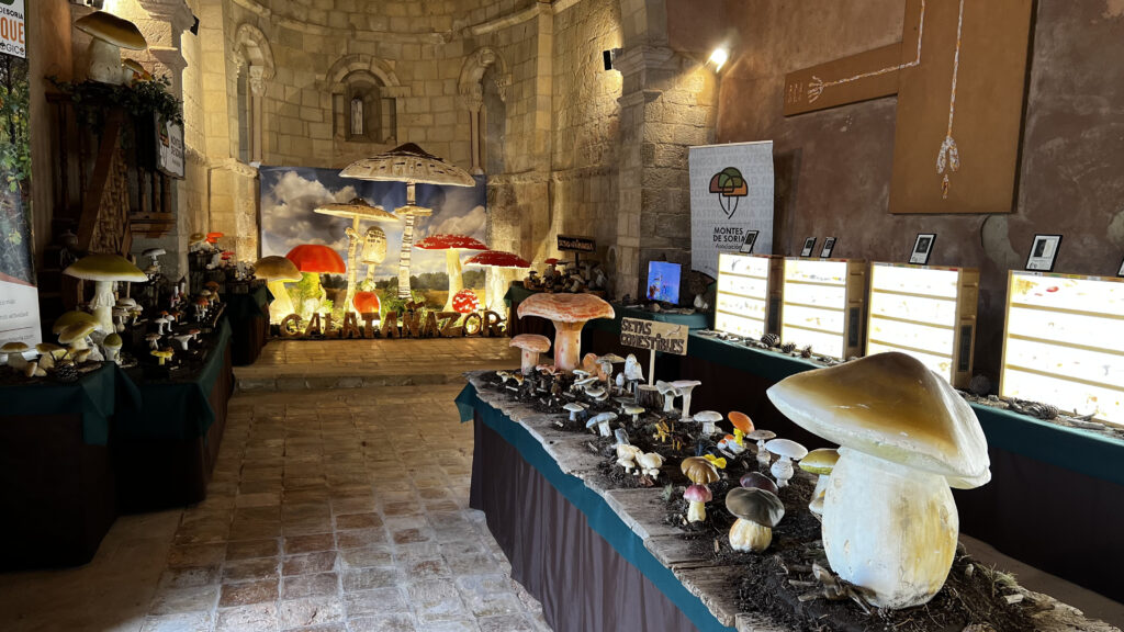 Exposición de hongos, Calatañazor