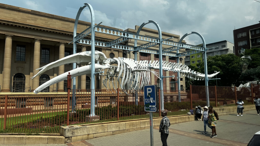 Museo de ciencias naturales de Pretoria