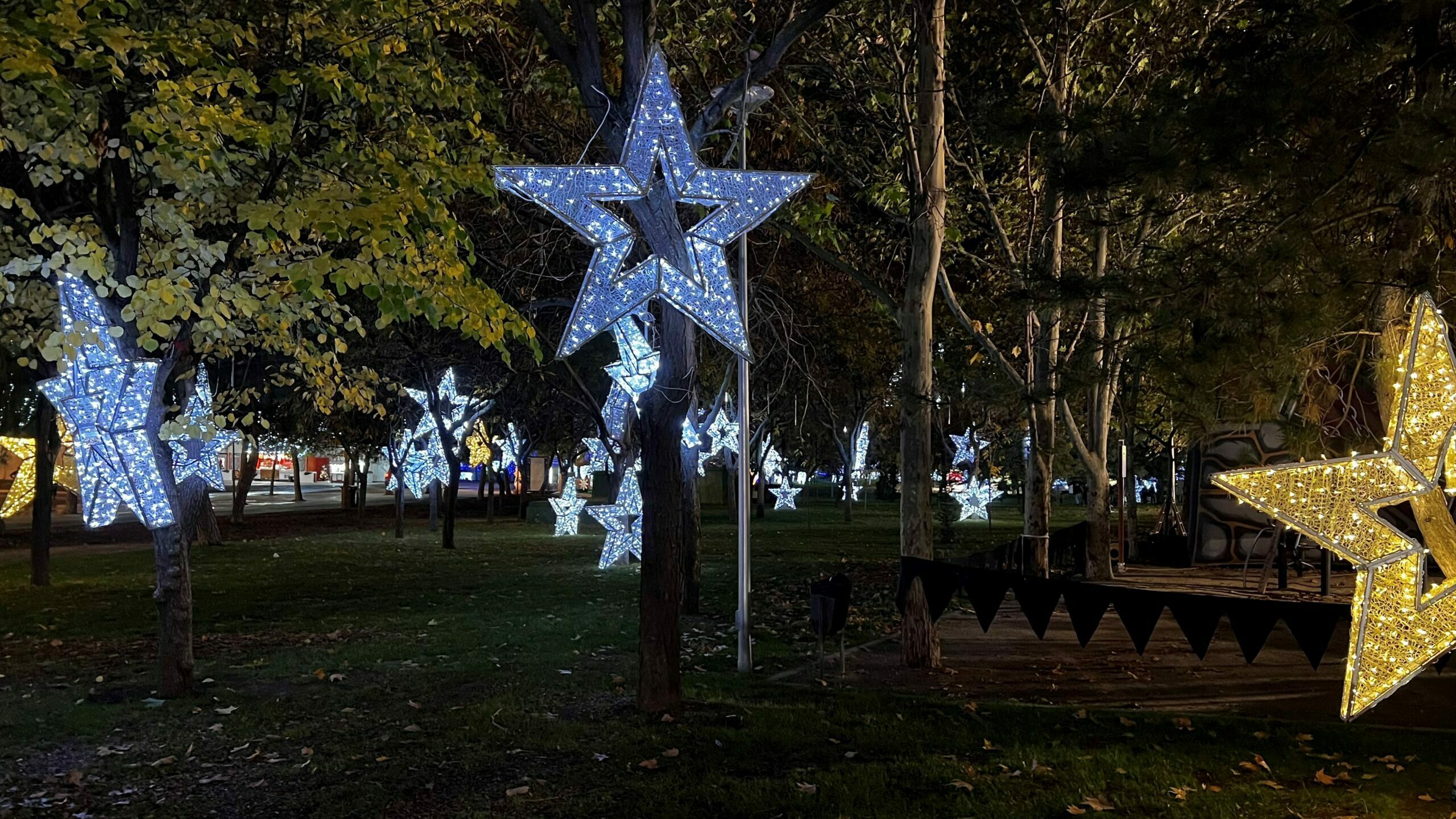 Bosque de estrellas