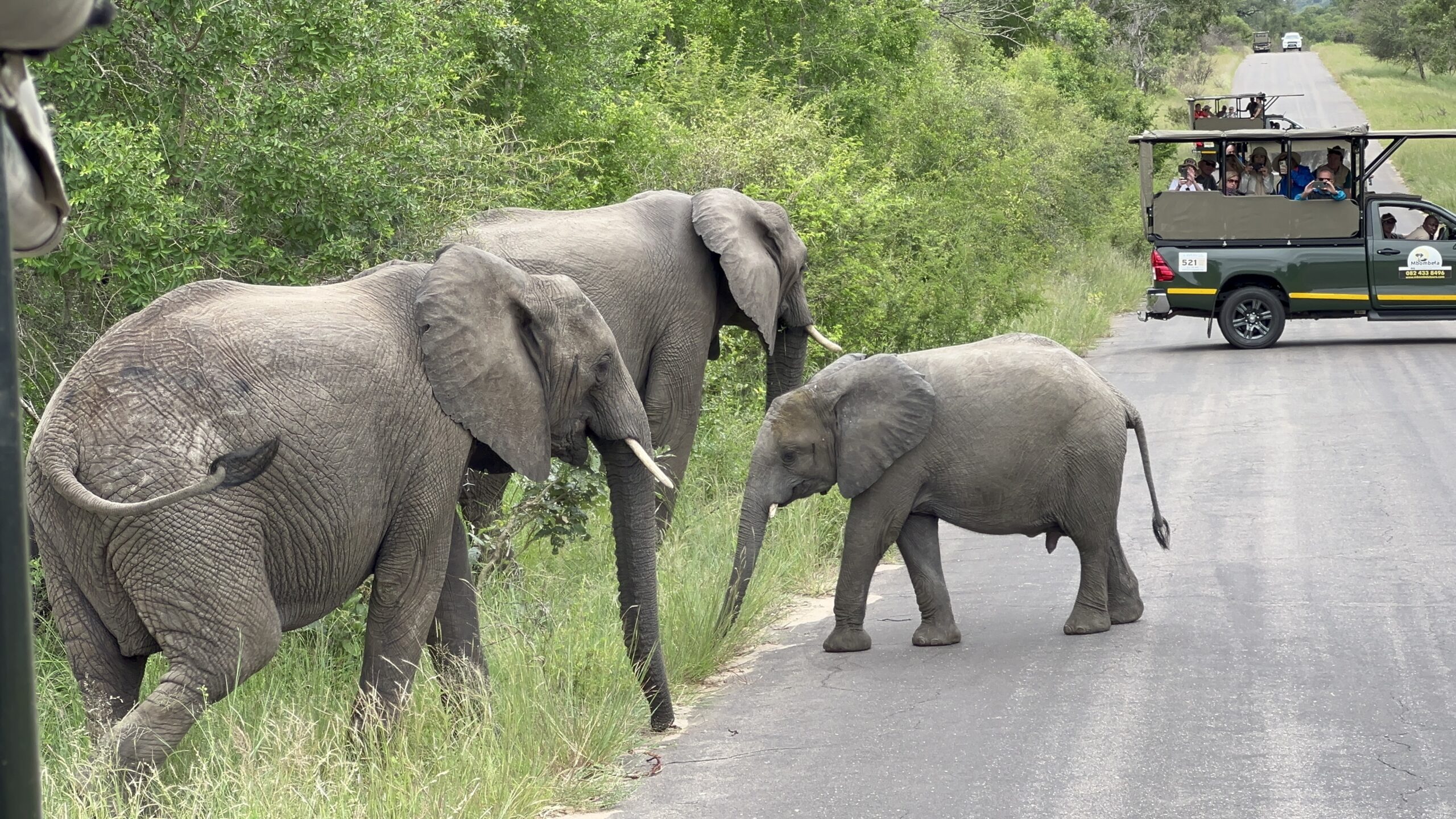 todo lo que debes saber antes de viajar a Sudáfrica